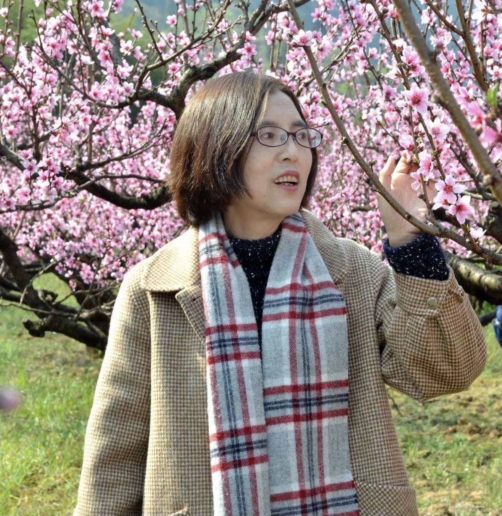 周丽华